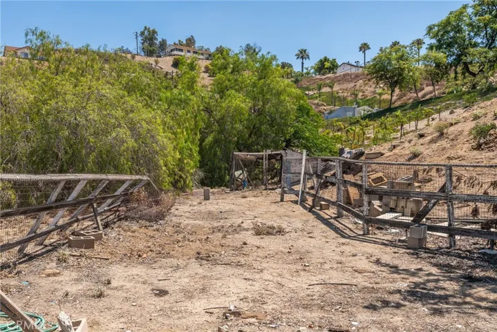 In Corral Leading to Chicken Coop
