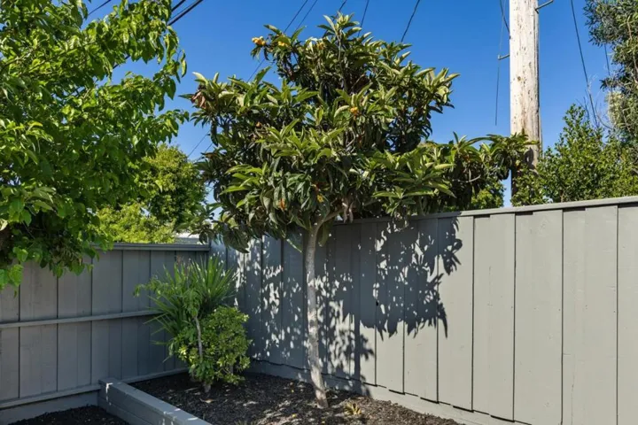 1751 Celeste Drive, San Mateo, California 94402