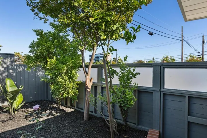 1751 Celeste Drive, San Mateo, California 94402