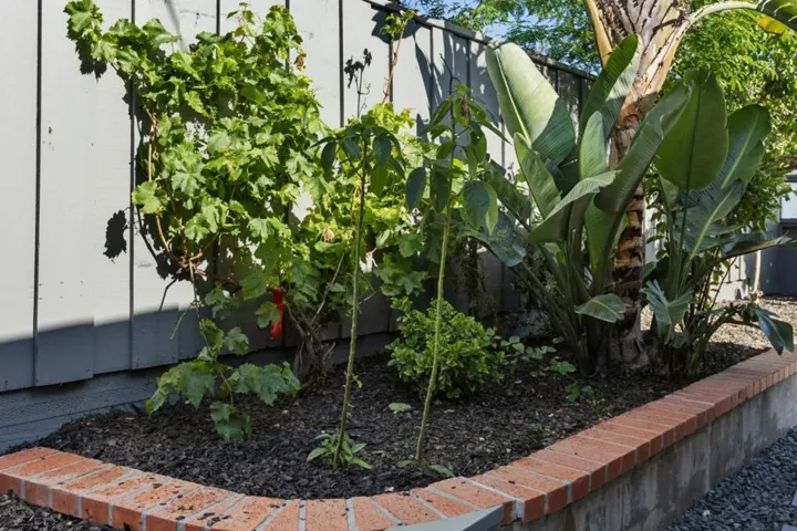 1751 Celeste Drive, San Mateo, California 94402