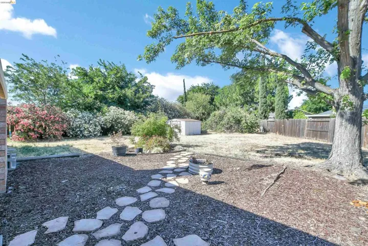 Expansive backyard featuring a stone pathway, mature trees, wood fencing, and a storage shed