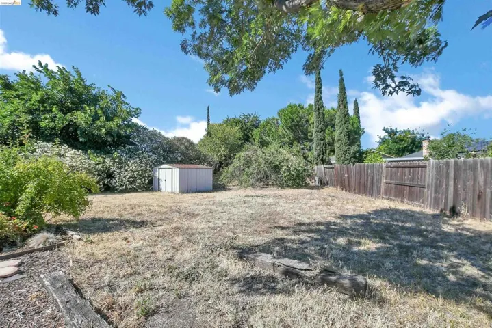 Expansive outdoor space featuring a utilitarian storage shed, mature trees, and a wood privacy fence