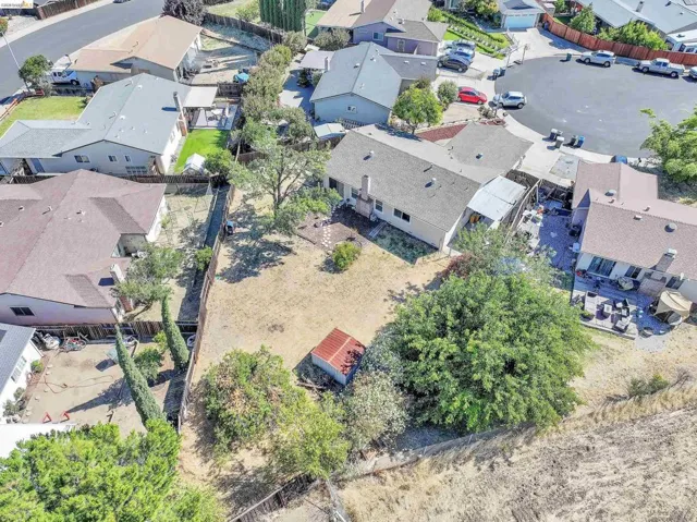 Expansive backyard featuring mature trees, a storage shed, and a privacy fence