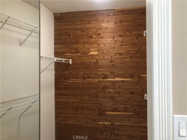 Walk-in Closet #2