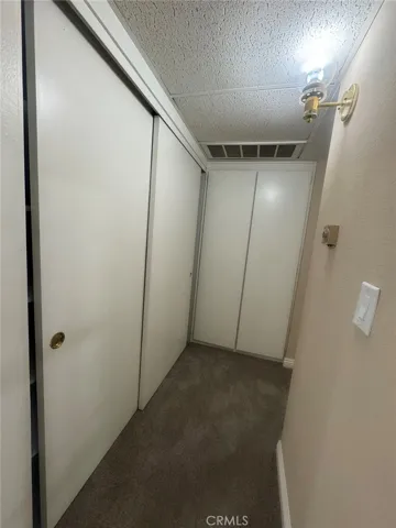 Extra Closets in Hallway