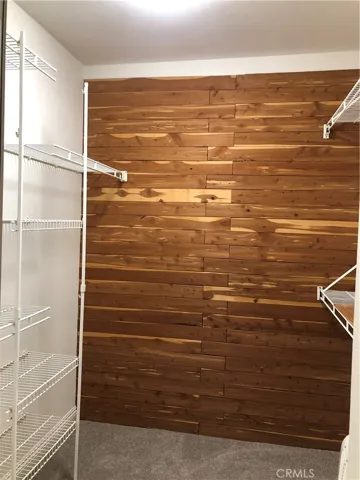 Walk-in Closet #1