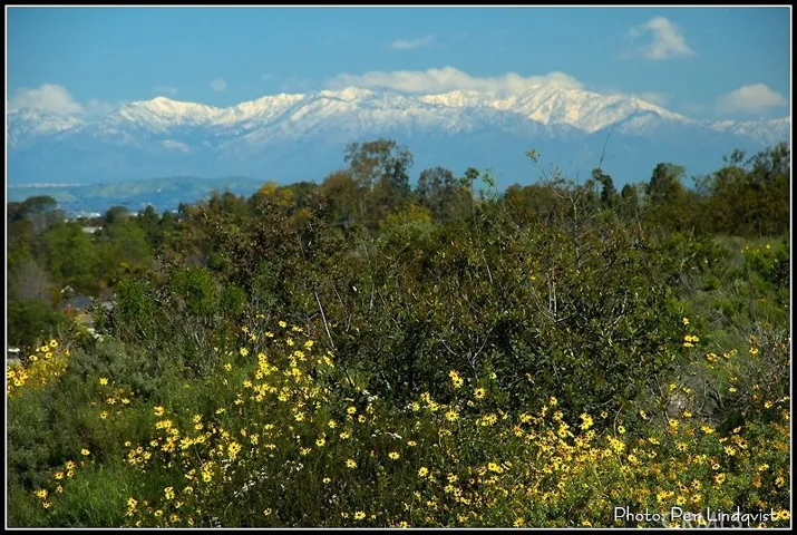 990 Trabuco, Costa Mesa, California 92627