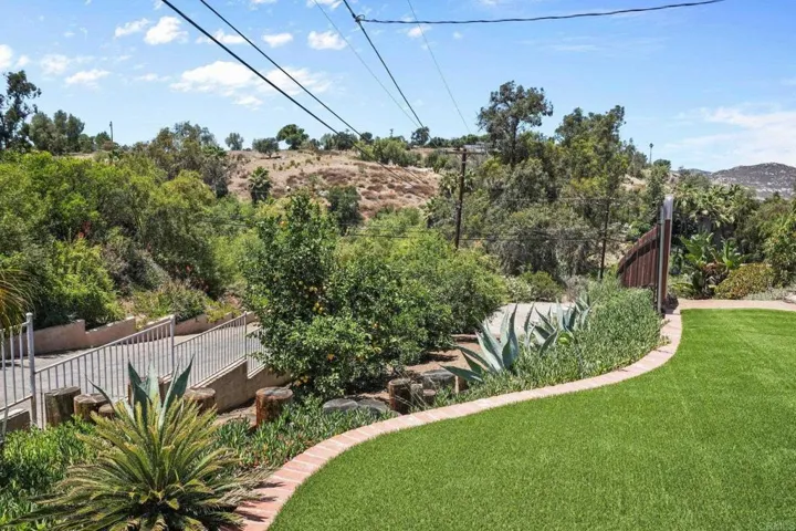 Established fruit trees, clean turf. Looking west. Entire property is fully fenced.