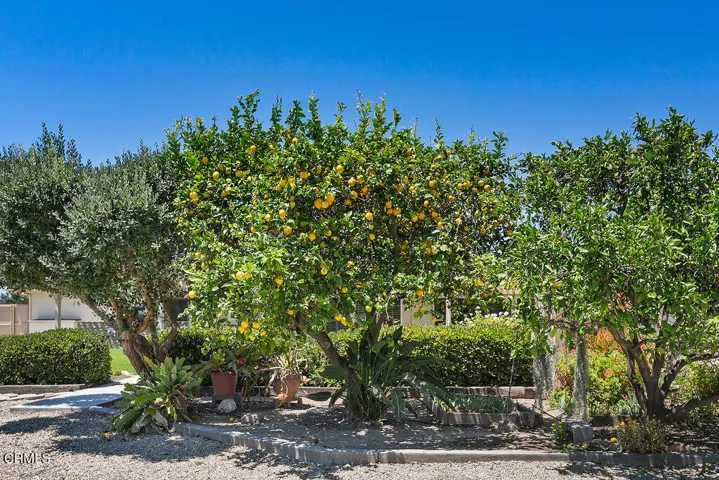 1538SanRafael_June22,2026_0016