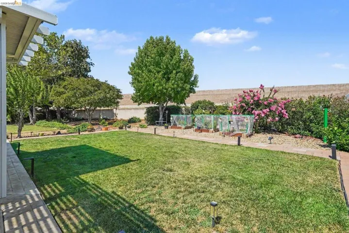 Expansive backyard featuring a lush lawn, mature trees, and a brick-edge pathway
