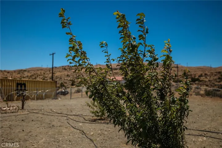 25333 Valley View, Apple Valley, California 92308