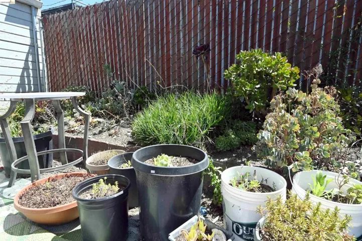 685 37th Street, Oakland, California 94609