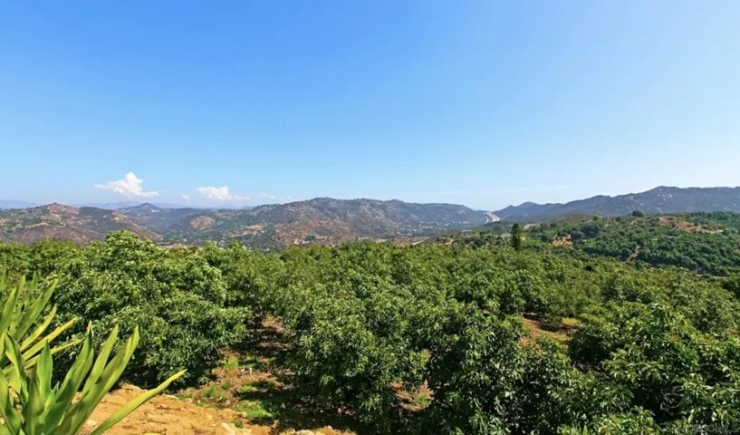 1629 Wild Acres, Vista, California 92084