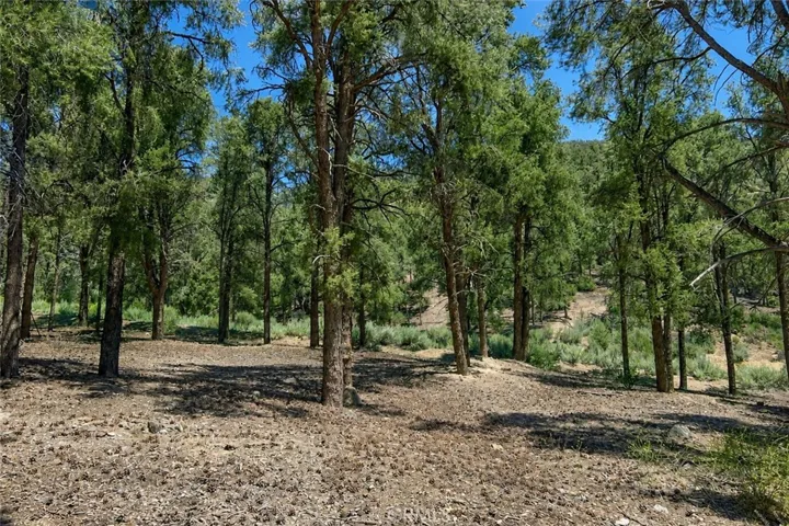 16525 Grizzly Drive, Pine Mountain Club, California 93222 — photo 5
