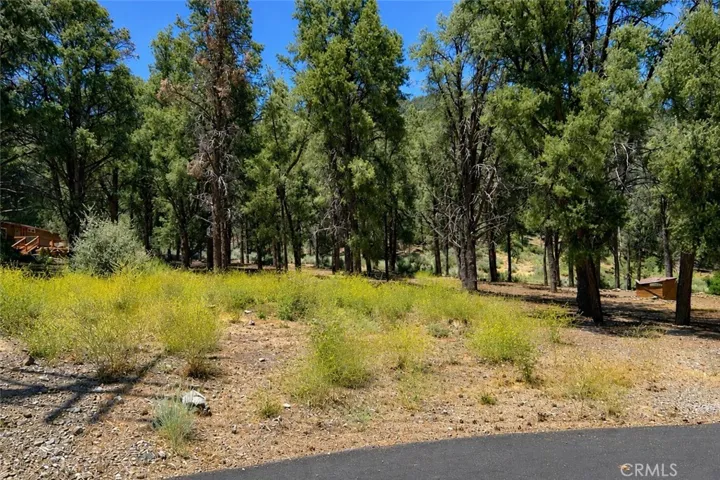 16525 Grizzly Drive, Pine Mountain Club, California 93222 — photo 4