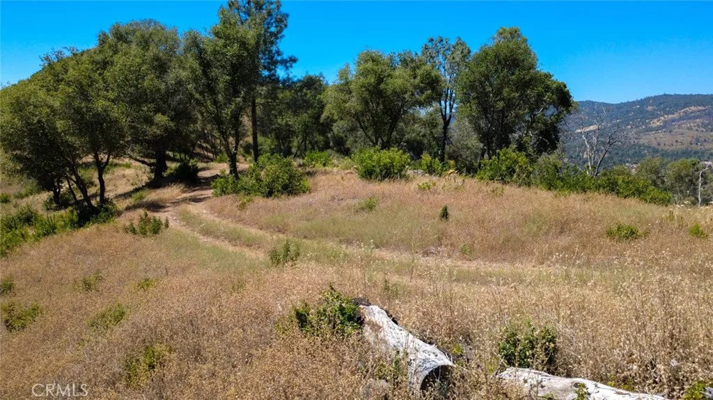 Plenty of room to build your home! Plenty of room to build your home!