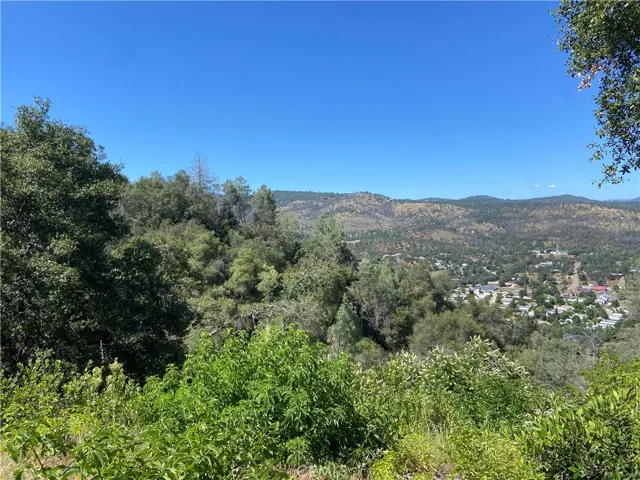 View of the Town of Mariposa