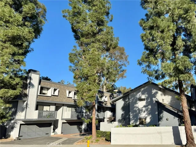 The Pine Community