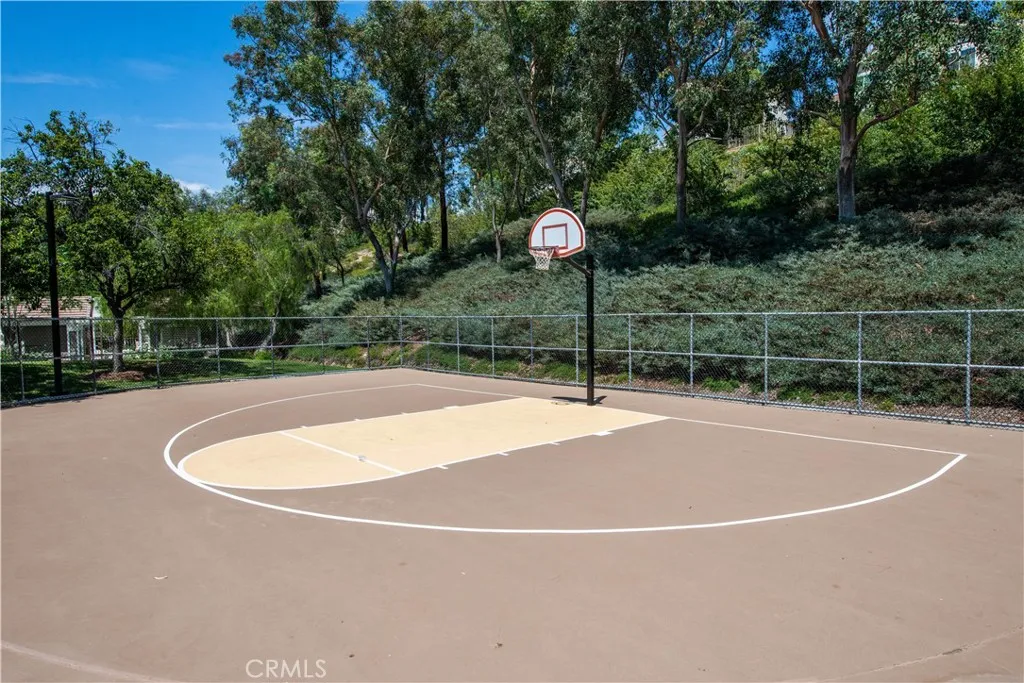 Basketball Court