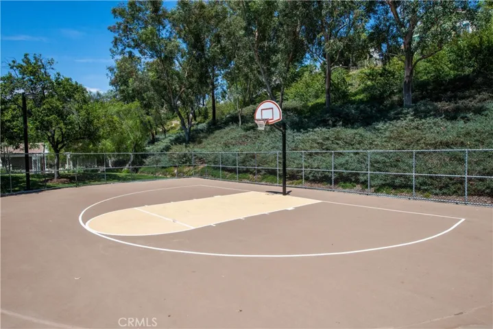 Basketball Court