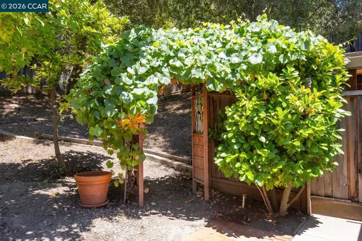 19 Valley Dr, Orinda, California 94563