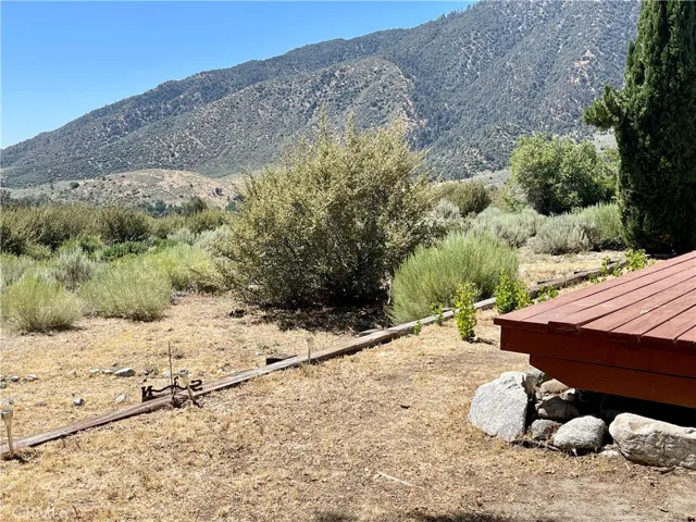 Step outside, and you are in the national forest...