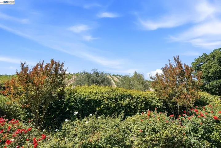 674 Selby Lane 4, Livermore, California 94551