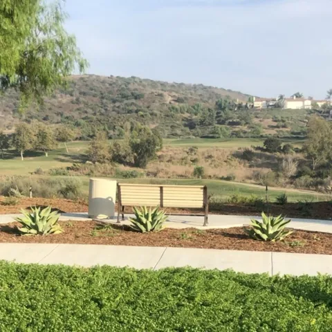 2 Corte Arbertura, San Clemente, California 92673