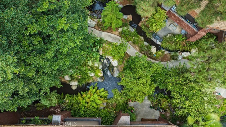 Over Head View of Pond