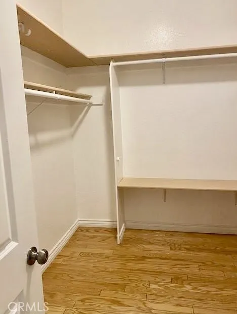 Primary Walk in Closet #1