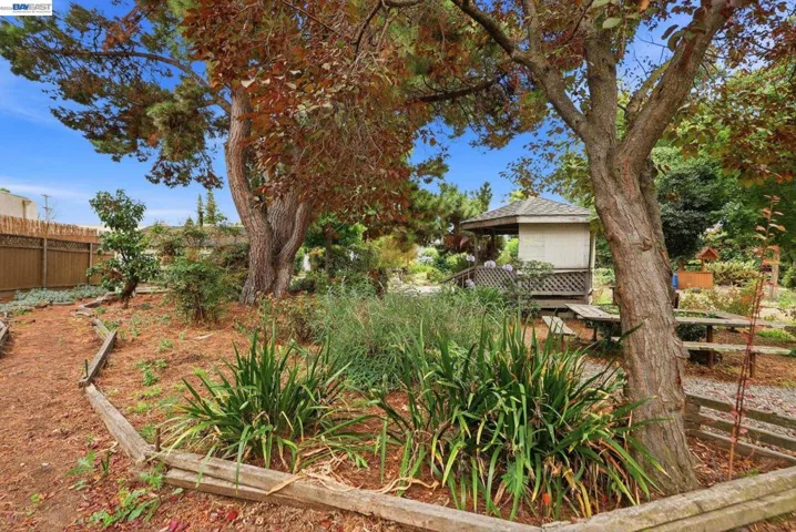 770 Grove Way, Hayward, California 94541