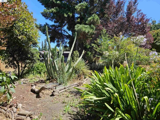 770 Grove Way, Hayward, California 94541