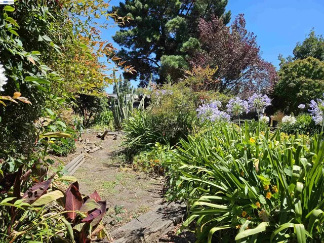 770 Grove Way, Hayward, California 94541