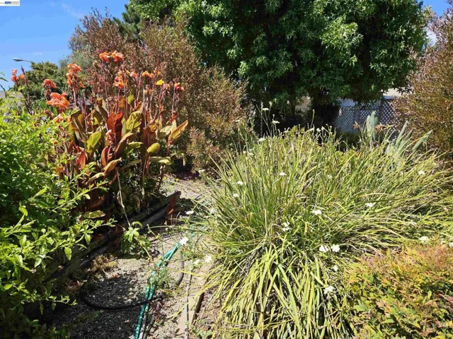 770 Grove Way, Hayward, California 94541