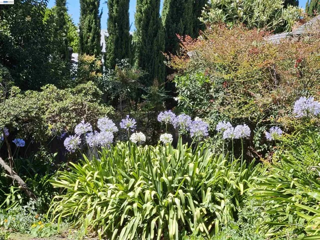 770 Grove Way, Hayward, California 94541
