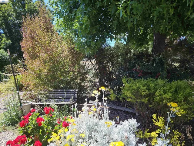 770 Grove Way, Hayward, California 94541