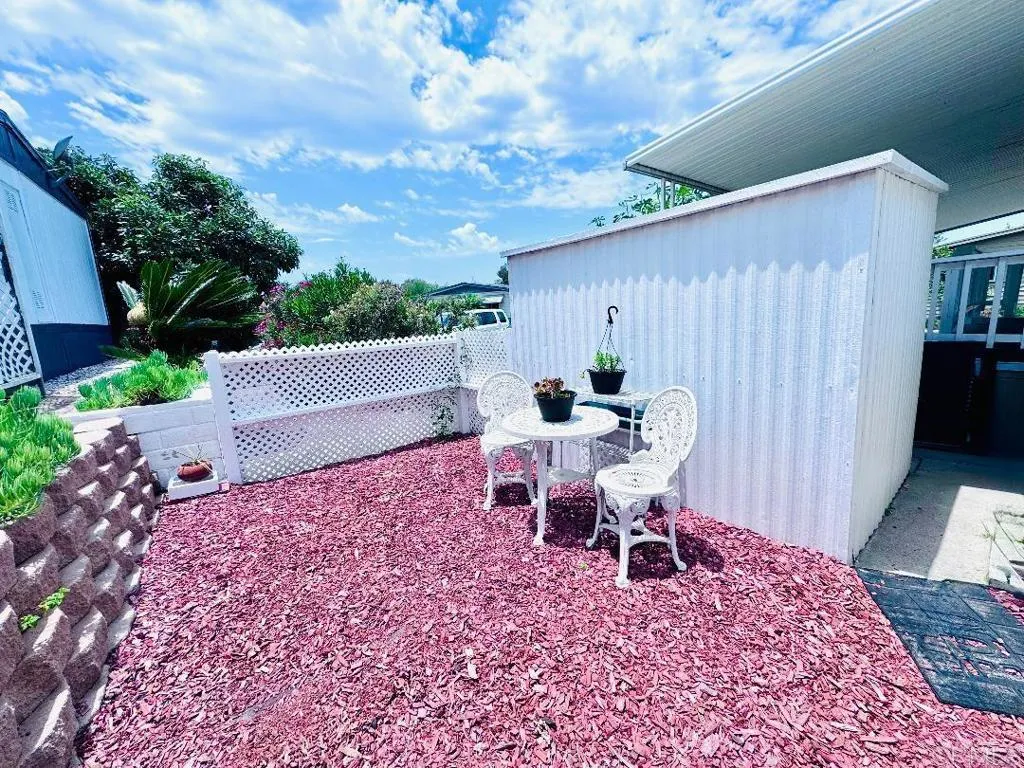 Back yard