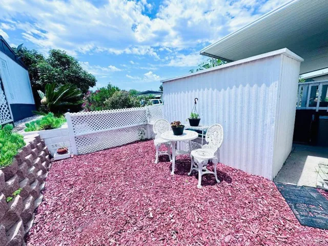 Back yard
