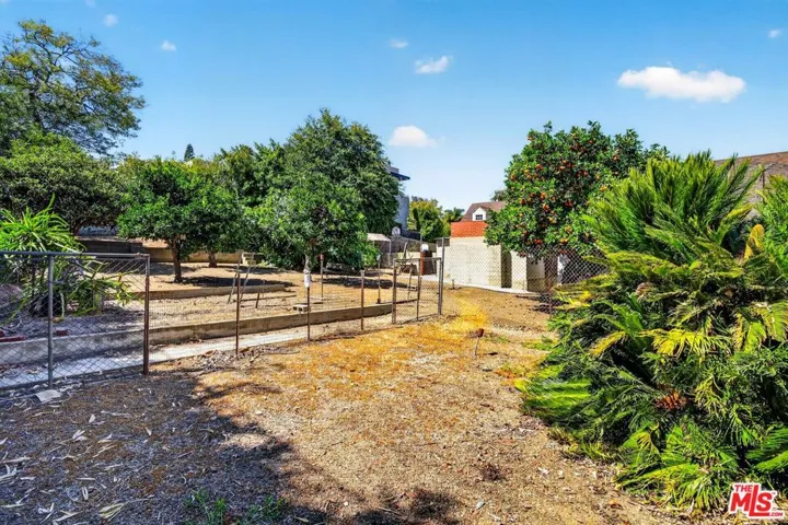 Backyard fruit trees orchard
