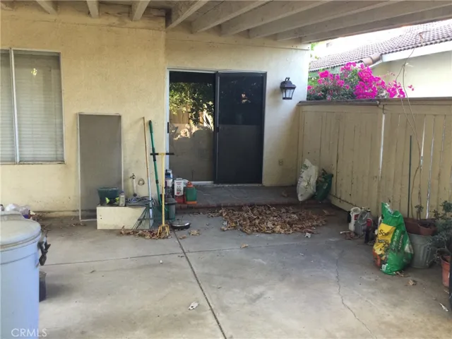 Back yard