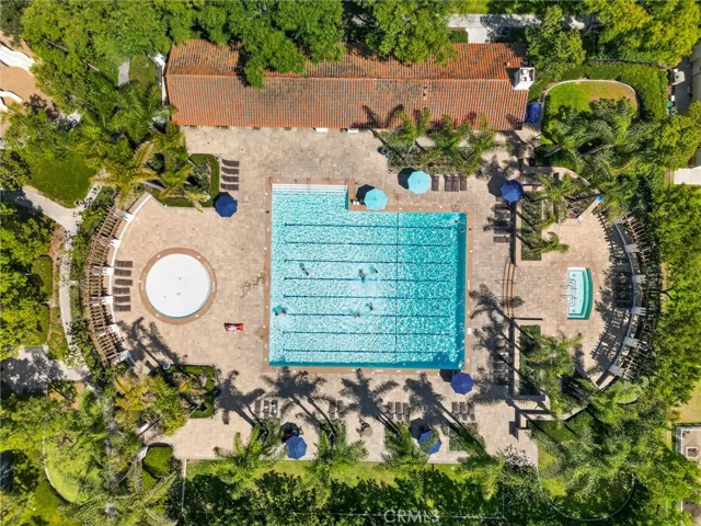 6 Madagascar, Irvine, California 92618