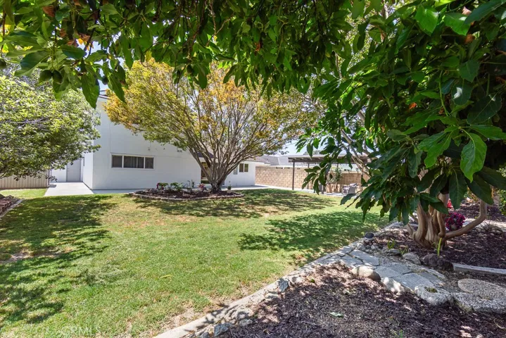 Expansive backyard