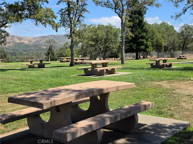 Community Picnic Area