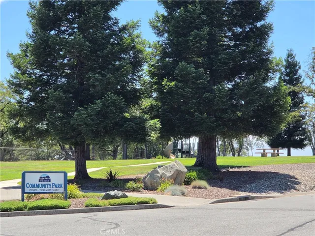 Community Picnic and Park Area