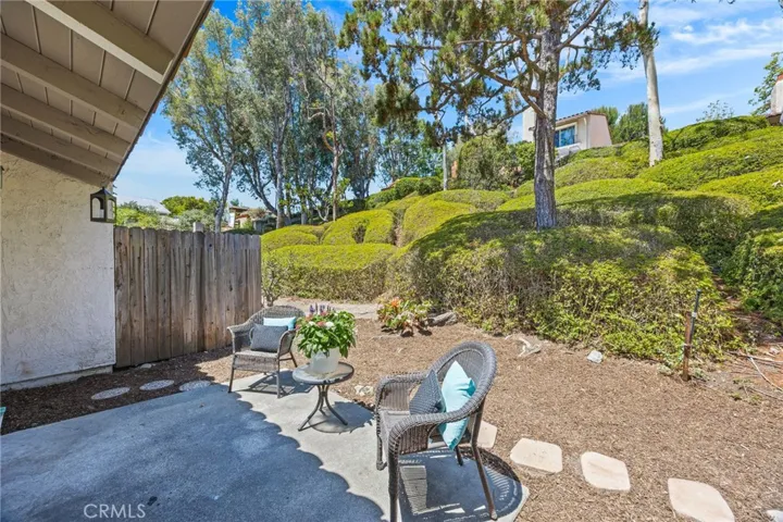 Back Yard & Patio