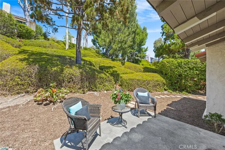 Back Yard & Patio