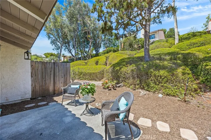 Back Yard & Patio