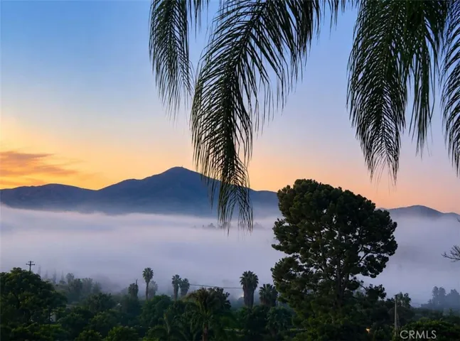 Rare Foggy Morning