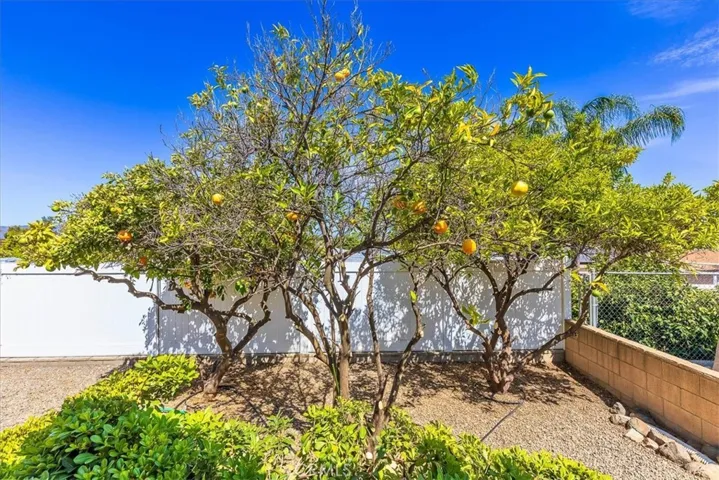 34197 Olive Grove, Wildomar, California 92595