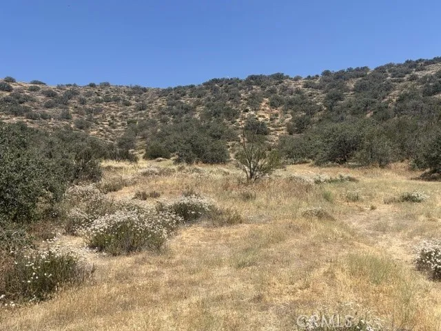 1 Shannon Valley Road, Acton, California 93510